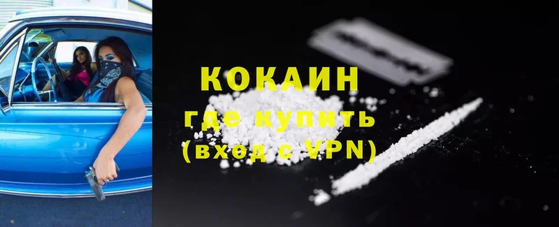 Cocaine Fish Scale  купить наркотики цена  Рыбинск 