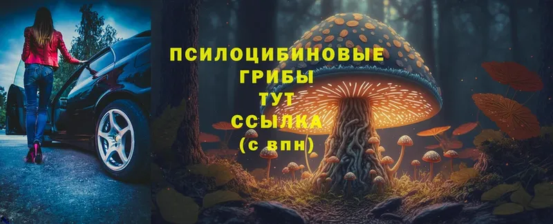 mega онион  Рыбинск  Псилоцибиновые грибы Magic Shrooms 